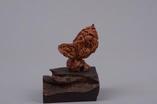 山东省工艺美术名人 孙业刚和他的核雕艺术