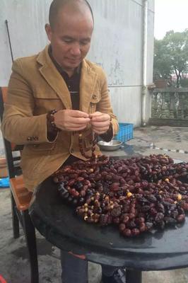 中国古核雕艺术的殿堂 博物馆之旅